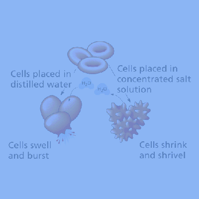 Why Water Wanders – OSMOSIS